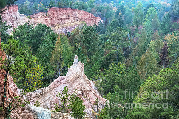 Little Grand Canyon of Georgia, Providence Canyon State Park 2 by Felix Lai Little Grand Canyon of Georgia, Providence Canyon State Park 2 by Felix Lai
